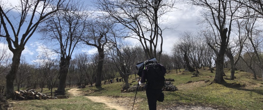 allevamento castagne!